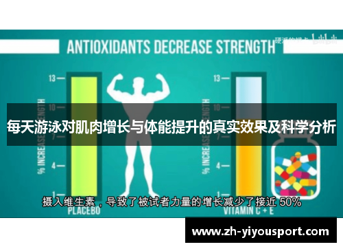 每天游泳对肌肉增长与体能提升的真实效果及科学分析