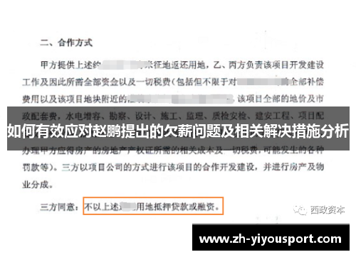 如何有效应对赵鹏提出的欠薪问题及相关解决措施分析