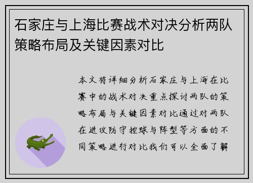 石家庄与上海比赛战术对决分析两队策略布局及关键因素对比